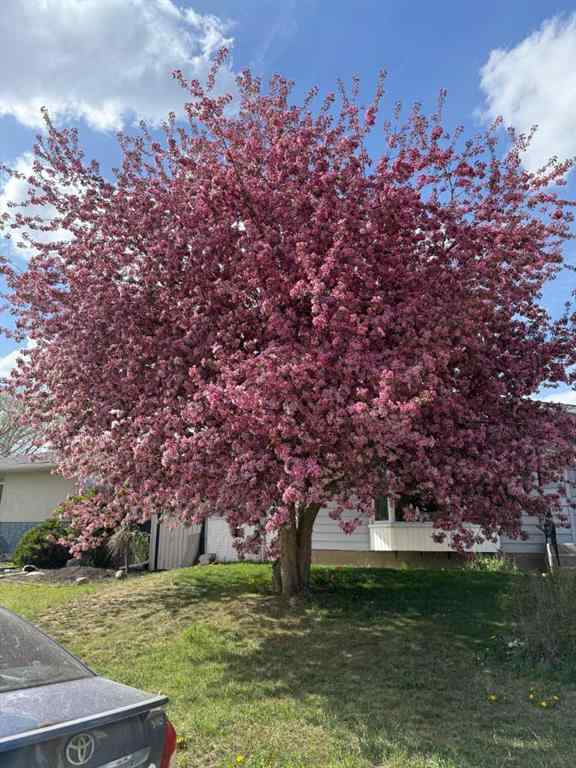 MLS® A2261866 - 840 Archwood Road SE in Acadia Calgary, Residential