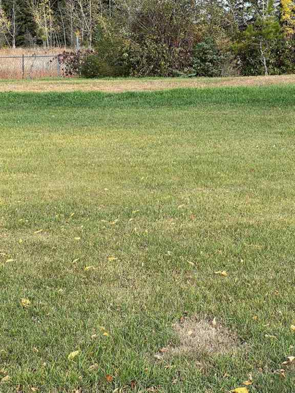 MLS® A2262107 - #2  712016 Range Road 72A   in Dimsdale Industrial Park Dimsdale, Residential