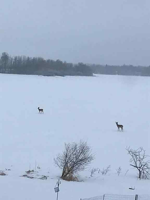 MLS® A2262111 - Unit #256 52343 Range Rd 211   in NONE Sherwood Park, Residential