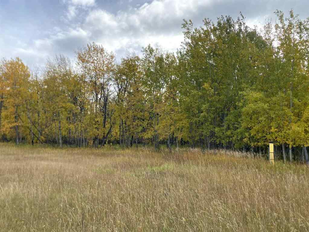 MLS® A2262175 -  TWP RD 704   in NONE Rural Grande Prairie No. 1, County of, Land