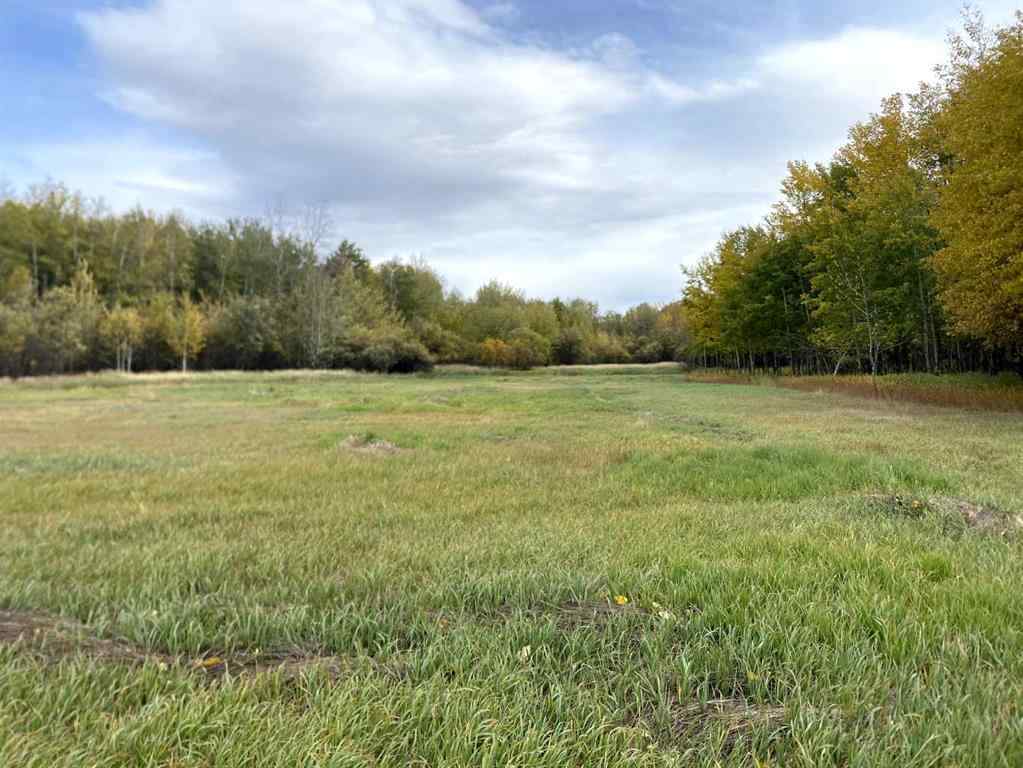 MLS® A2262175 -  TWP RD 704   in NONE Rural Grande Prairie No. 1, County of, Land