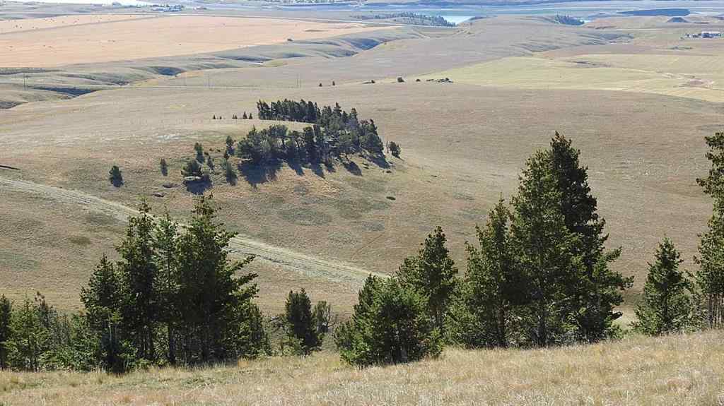 MLS® A2262209 - 157 Acres Snake Trail   in NONE Rural Pincher Creek No. 9, M.D. of, Land