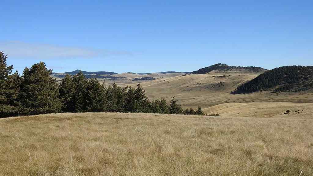 MLS® A2262209 - 157 Acres Snake Trail   in NONE Rural Pincher Creek No. 9, M.D. of, Land