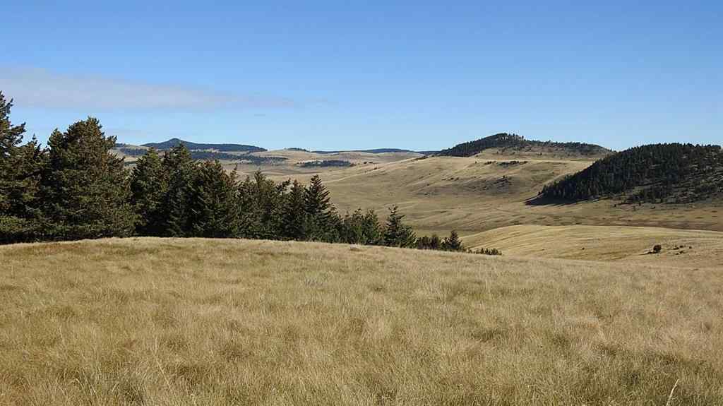 MLS® A2262209 - 157 Acres Snake Trail   in NONE Rural Pincher Creek No. 9, M.D. of, Land