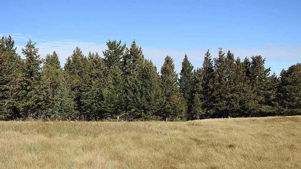 MLS® A2262209 - 157 Acres Snake Trail   in NONE Rural Pincher Creek No. 9, M.D. of, Land