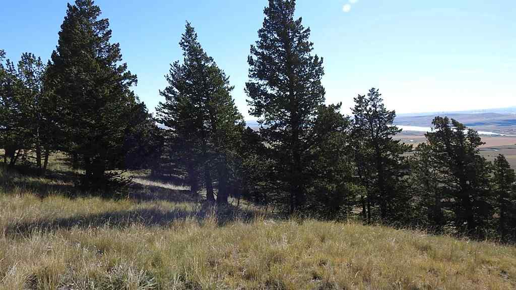 MLS® A2262209 - 157 Acres Snake Trail   in NONE Rural Pincher Creek No. 9, M.D. of, Land