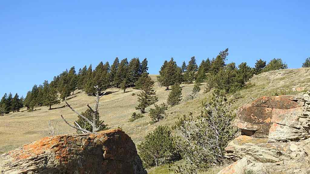 MLS® A2262209 - 157 Acres Snake Trail   in NONE Rural Pincher Creek No. 9, M.D. of, Land