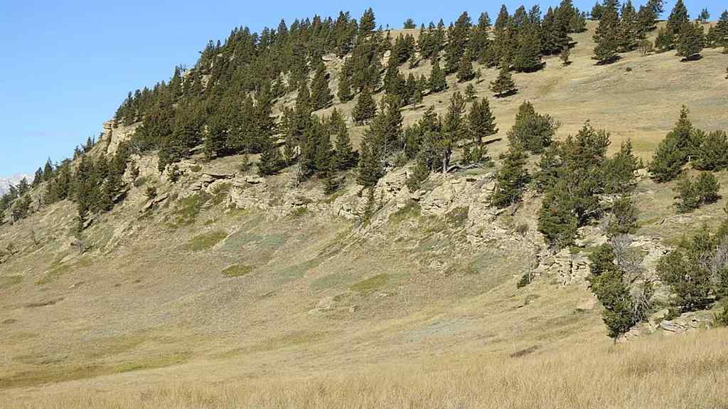 MLS® A2262209 - 157 Acres Snake Trail   in NONE Rural Pincher Creek No. 9, M.D. of, Land