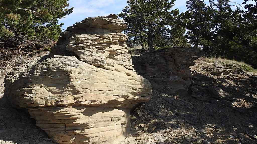 MLS® A2262209 - 157 Acres Snake Trail   in NONE Rural Pincher Creek No. 9, M.D. of, Land