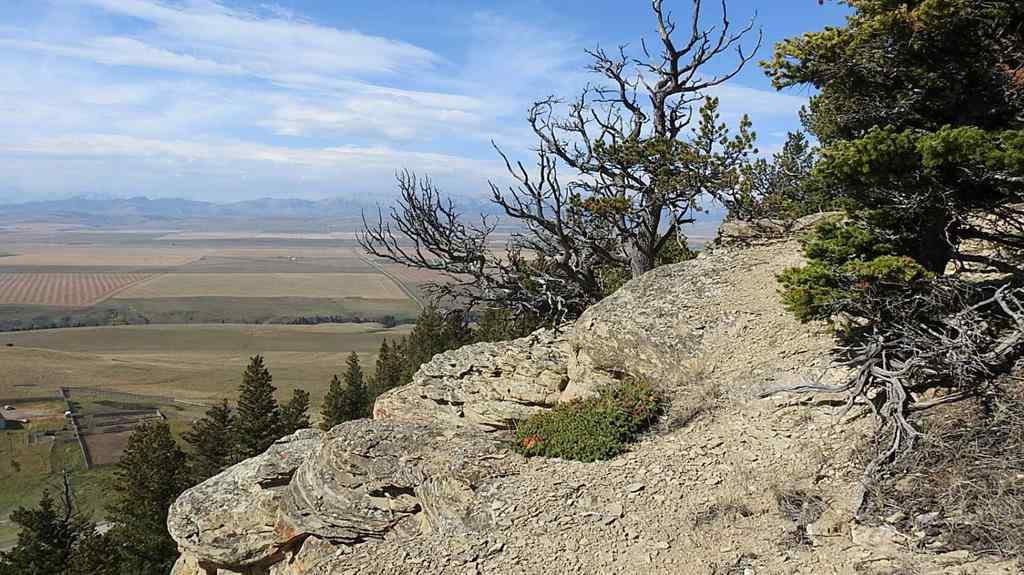 MLS® A2262209 - 157 Acres Snake Trail   in NONE Rural Pincher Creek No. 9, M.D. of, Land