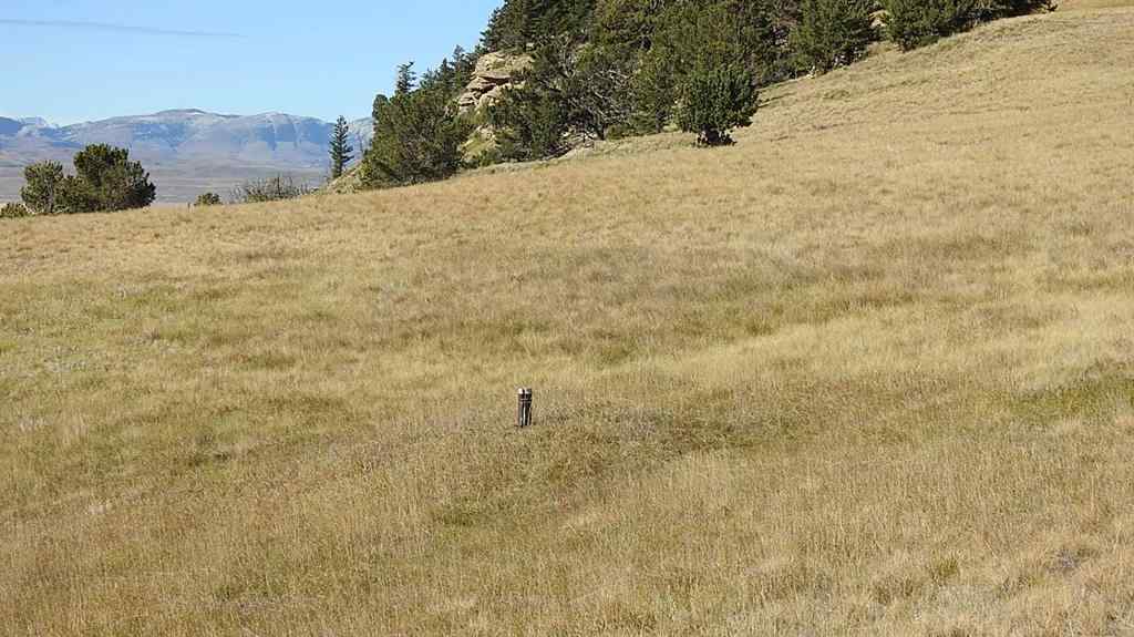 MLS® A2262209 - 157 Acres Snake Trail   in NONE Rural Pincher Creek No. 9, M.D. of, Land