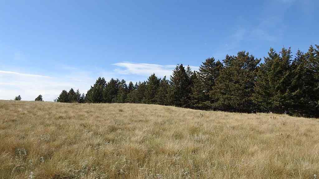 MLS® A2262209 - 157 Acres Snake Trail   in NONE Rural Pincher Creek No. 9, M.D. of, Land