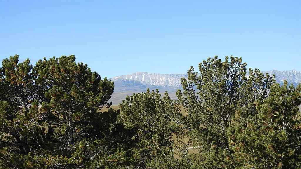 MLS® A2262209 - 157 Acres Snake Trail   in NONE Rural Pincher Creek No. 9, M.D. of, Land