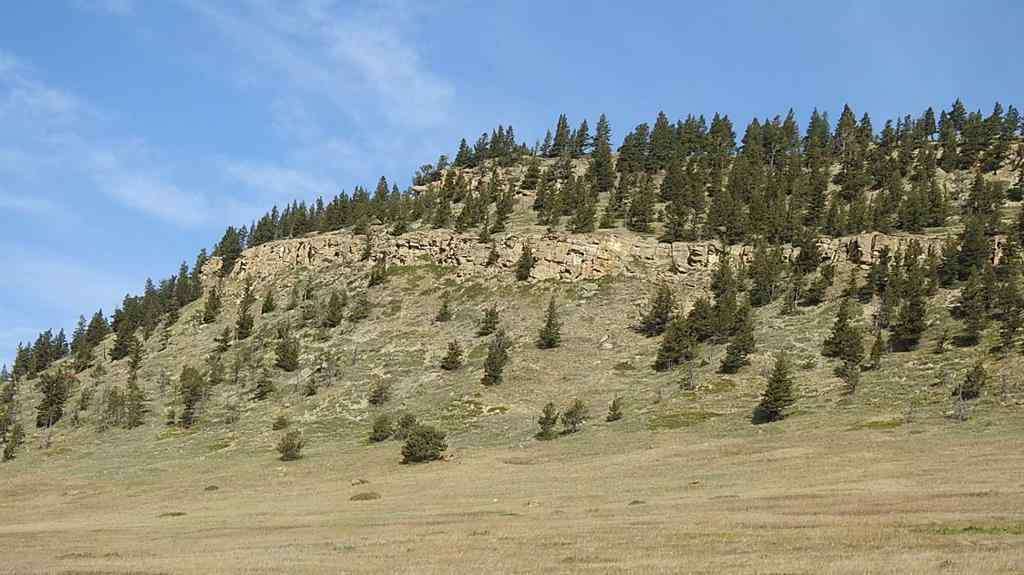 MLS® A2262209 - 157 Acres Snake Trail   in NONE Rural Pincher Creek No. 9, M.D. of, Land