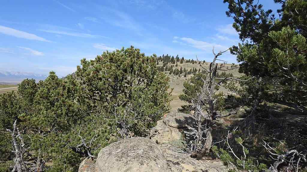 MLS® A2262209 - 157 Acres Snake Trail   in NONE Rural Pincher Creek No. 9, M.D. of, Land