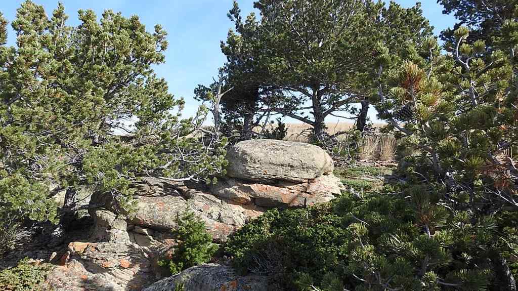 MLS® A2262209 - 157 Acres Snake Trail   in NONE Rural Pincher Creek No. 9, M.D. of, Land