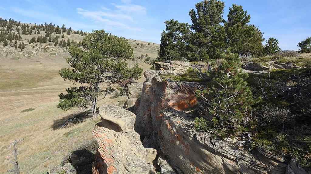 MLS® A2262209 - 157 Acres Snake Trail   in NONE Rural Pincher Creek No. 9, M.D. of, Land