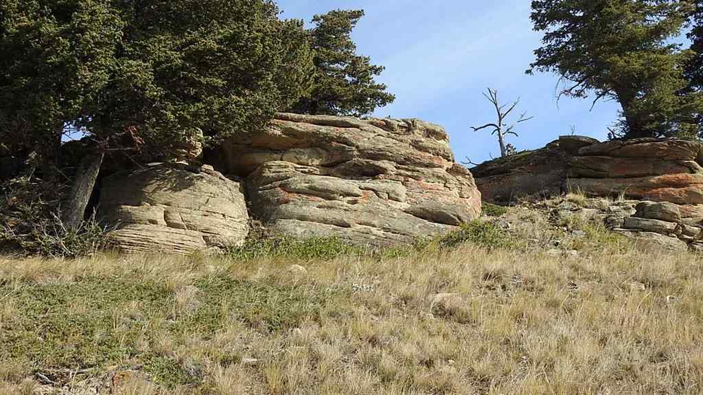 MLS® A2262209 - 157 Acres Snake Trail   in NONE Rural Pincher Creek No. 9, M.D. of, Land