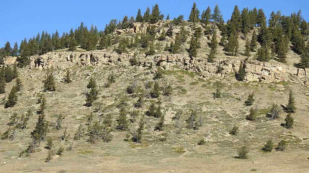 MLS® A2262209 - 157 Acres Snake Trail   in NONE Rural Pincher Creek No. 9, M.D. of, Land