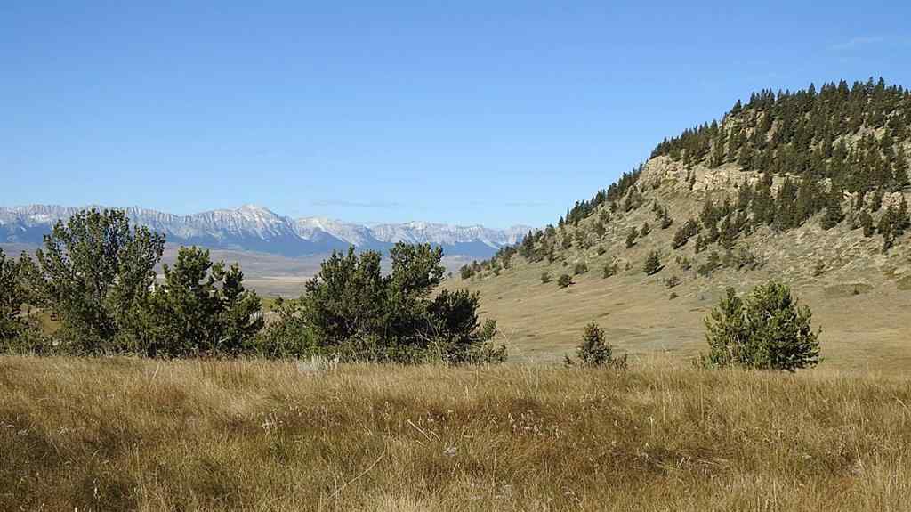 MLS® A2262209 - 157 Acres Snake Trail   in NONE Rural Pincher Creek No. 9, M.D. of, Land