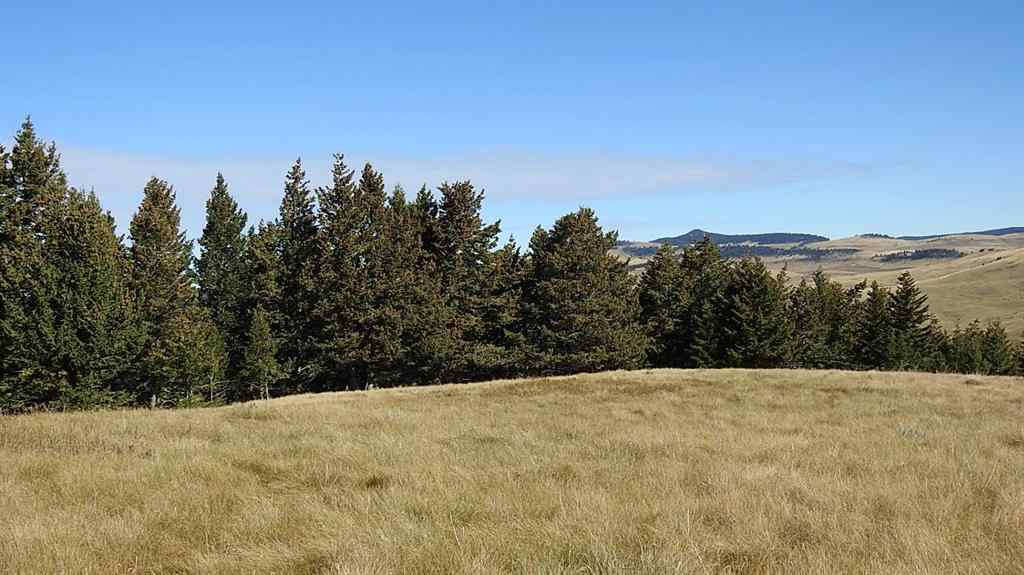 MLS® A2262209 - 157 Acres Snake Trail   in NONE Rural Pincher Creek No. 9, M.D. of, Land