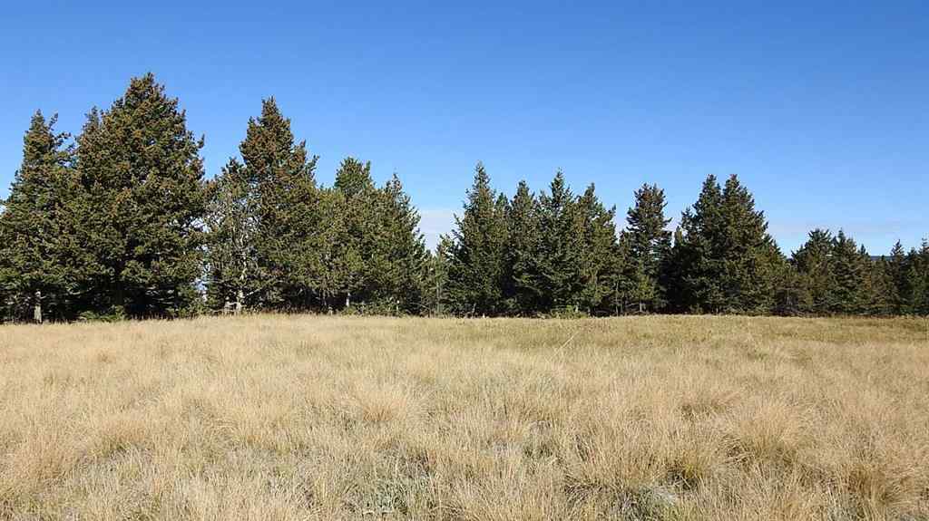 MLS® A2262209 - 157 Acres Snake Trail   in NONE Rural Pincher Creek No. 9, M.D. of, Land