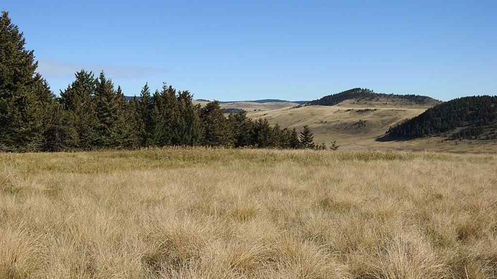 MLS® A2262209 - 157 Acres Snake Trail   in NONE Rural Pincher Creek No. 9, M.D. of, Land