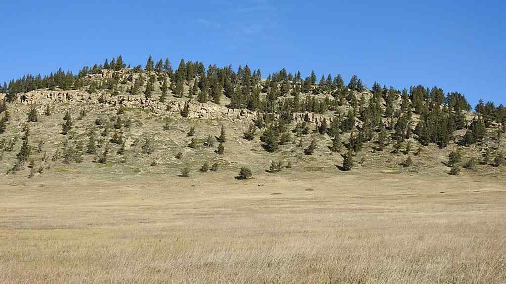 MLS® A2262209 - 157 Acres Snake Trail   in NONE Rural Pincher Creek No. 9, M.D. of, Land