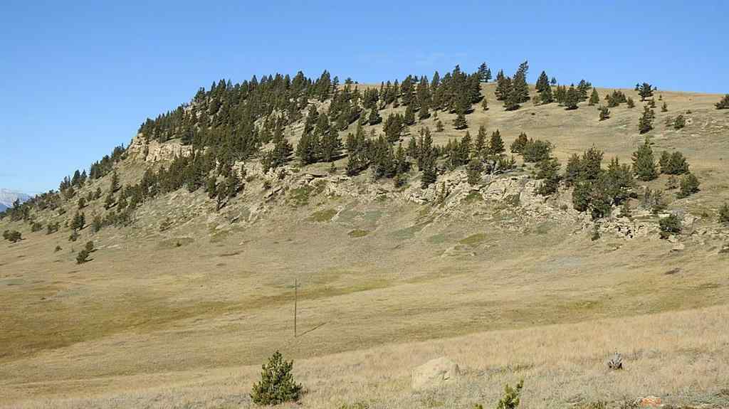 MLS® A2262209 - 157 Acres Snake Trail   in NONE Rural Pincher Creek No. 9, M.D. of, Land