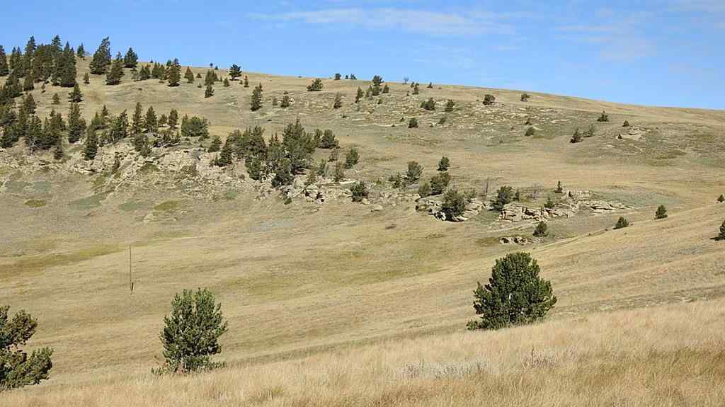 MLS® A2262209 - 157 Acres Snake Trail   in NONE Rural Pincher Creek No. 9, M.D. of, Land