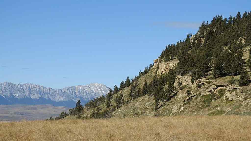 MLS® A2262209 - 157 Acres Snake Trail   in NONE Rural Pincher Creek No. 9, M.D. of, Land