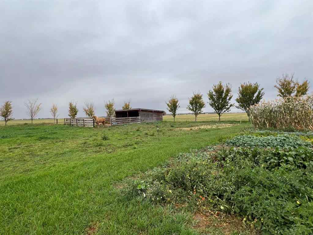 MLS® A2262285 - 92008 Range Road 195   in NONE Rural Lethbridge County, Residential