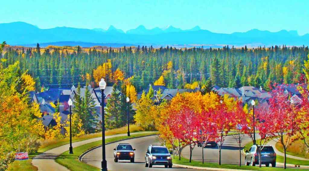 MLS® A2262293 - Unit #332 10 Discovery Ridge Close SW in Discovery Ridge Calgary, Residential