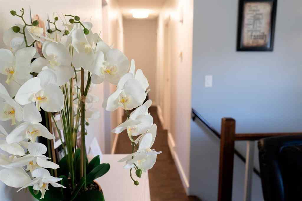 MLS® A2262327 - 129 Scandia Cresent   in NONE Scandia, Residential