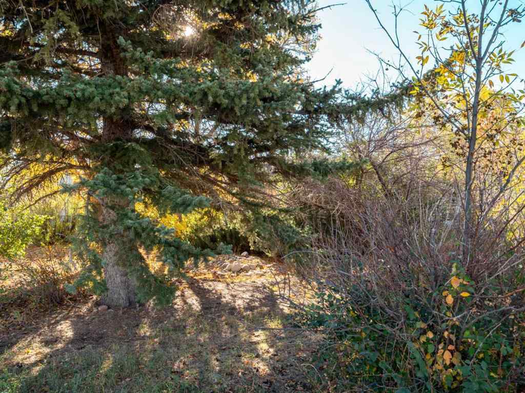 MLS® A2262391 - 404 5 Avenue  in NONE Warner, Residential