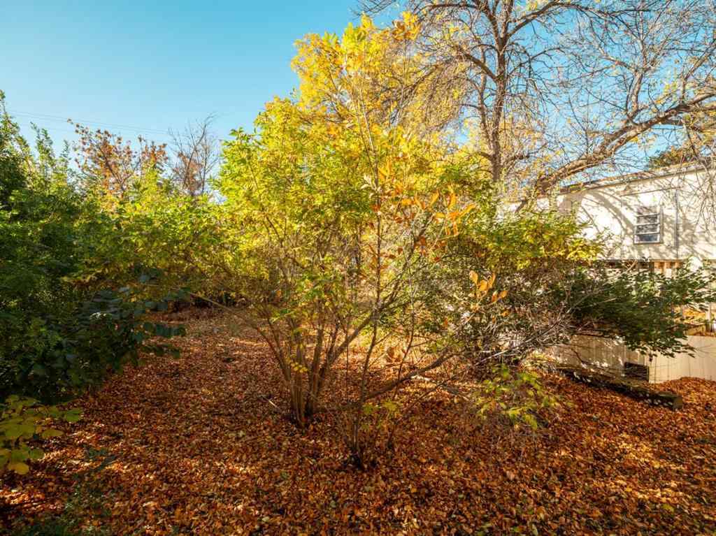 MLS® A2262391 - 404 5 Avenue  in NONE Warner, Residential