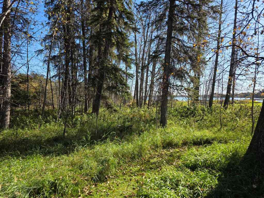 MLS® A2262407 - 27 62045 Township Road 462   in NONE Rural Wetaskiwin No. 10, County of, Residential