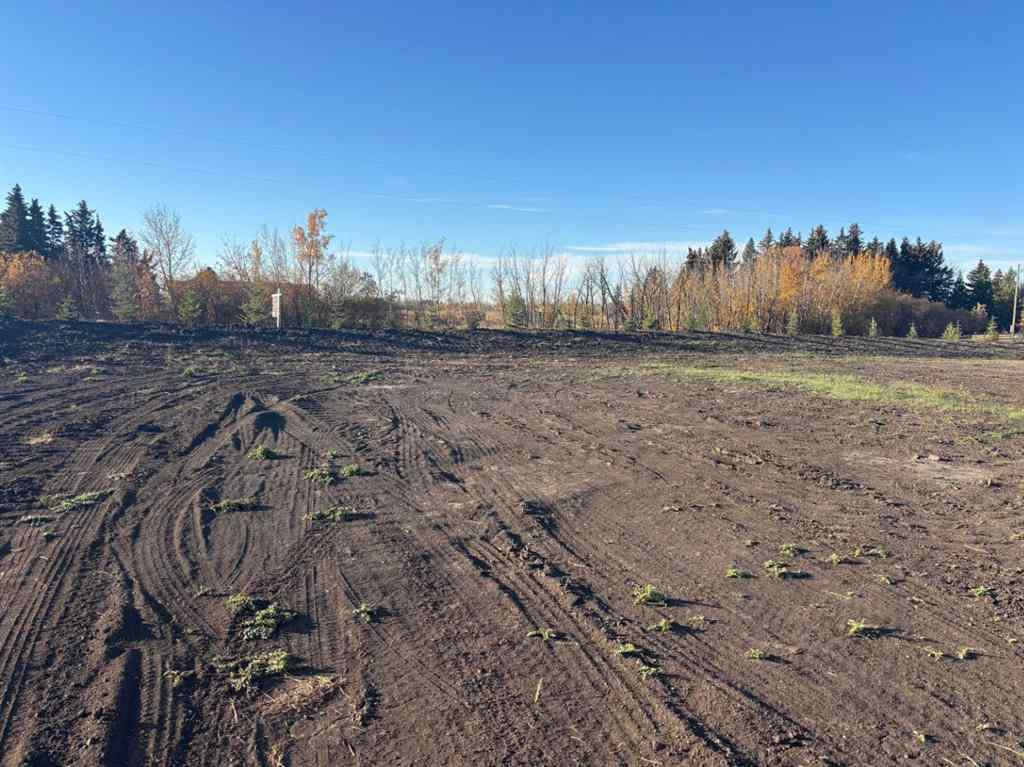 MLS® A2262502 -  On Township Road 470   in NONE Rural Camrose County, Land
