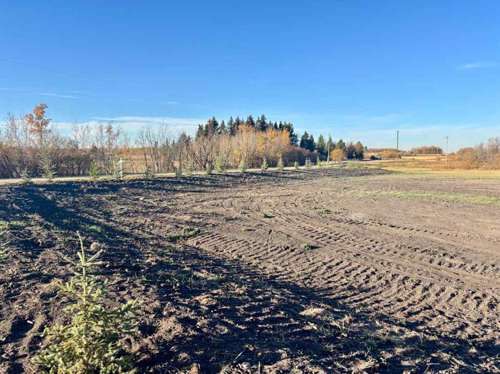 MLS® A2262502 -  On Township Road 470   in NONE Rural Camrose County, Land