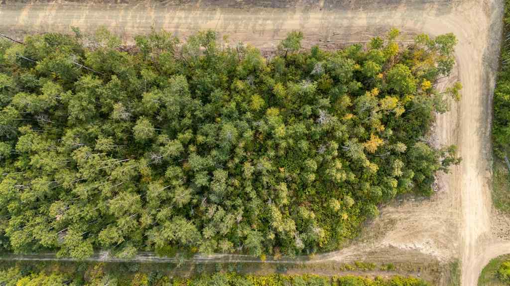 MLS® A2262587 - 1 Crane Lane Murphy Lake   in NONE Rural, Land