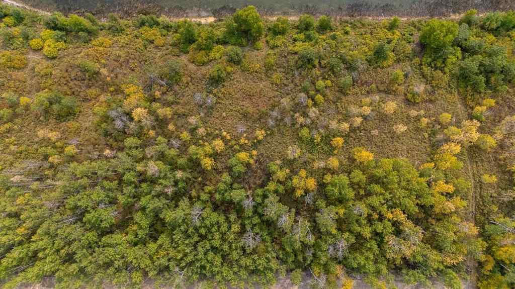 MLS® A2262587 - 1 Crane Lane Murphy Lake   in NONE Rural, Land