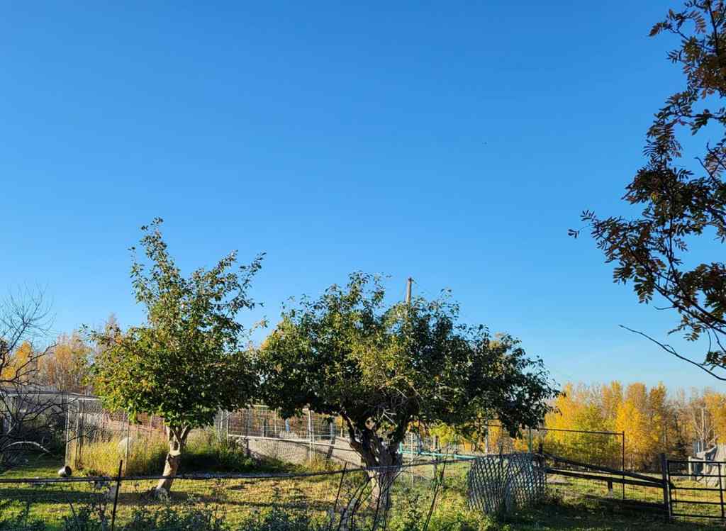 MLS® A2262633 - Unit #21041  461 Township  in NONE Rural Wetaskiwin No. 10, County of, Residential