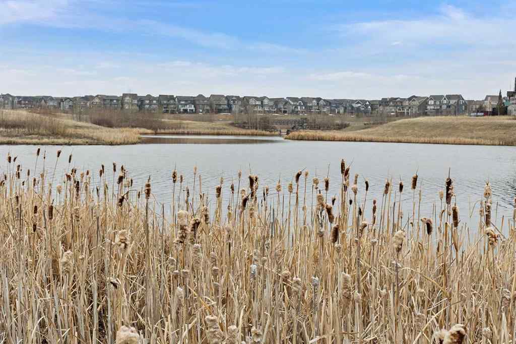 MLS® A2262713 - 71 Masters Heights SE in Mahogany Calgary, Residential