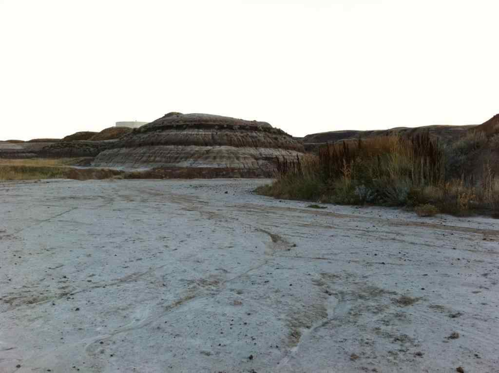 MLS® A2262832 - NW-02-029-20W4M NW Other  in Bankview Drumheller, Land