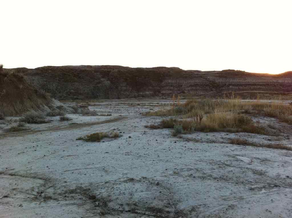 MLS® A2262832 - NW-02-029-20W4M NW Other  in Bankview Drumheller, Land