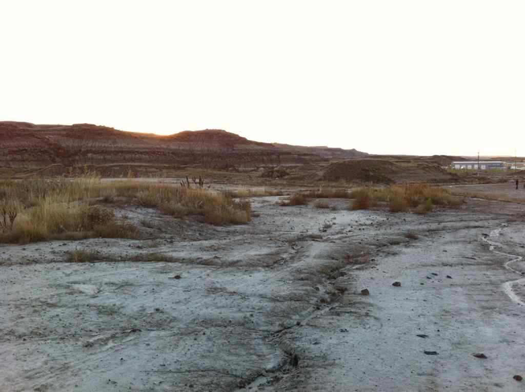 MLS® A2262832 - NW-02-029-20W4M NW Other  in Bankview Drumheller, Land