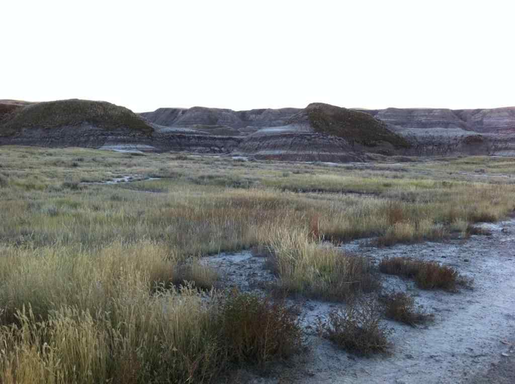 MLS® A2262832 - NW-02-029-20W4M NW Other  in Bankview Drumheller, Land