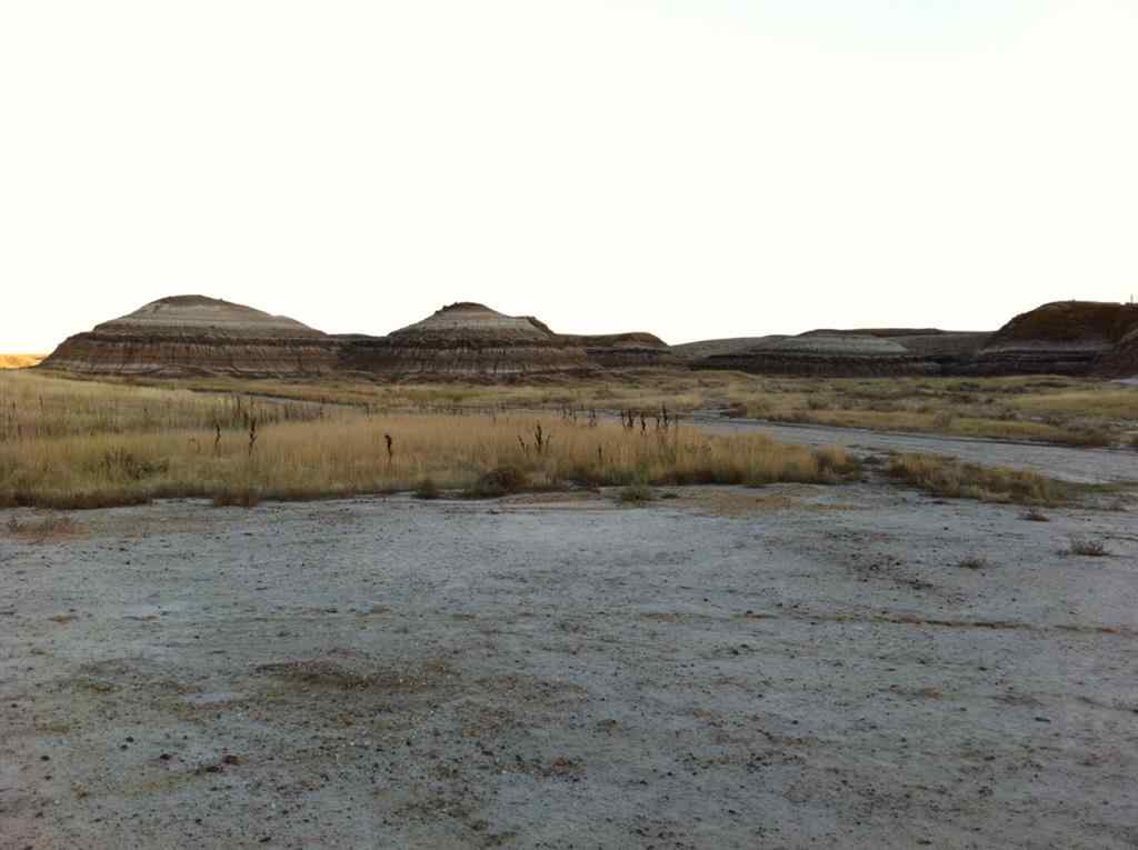 MLS® A2262832 - NW-02-029-20W4M NW Other  in Bankview Drumheller, Land