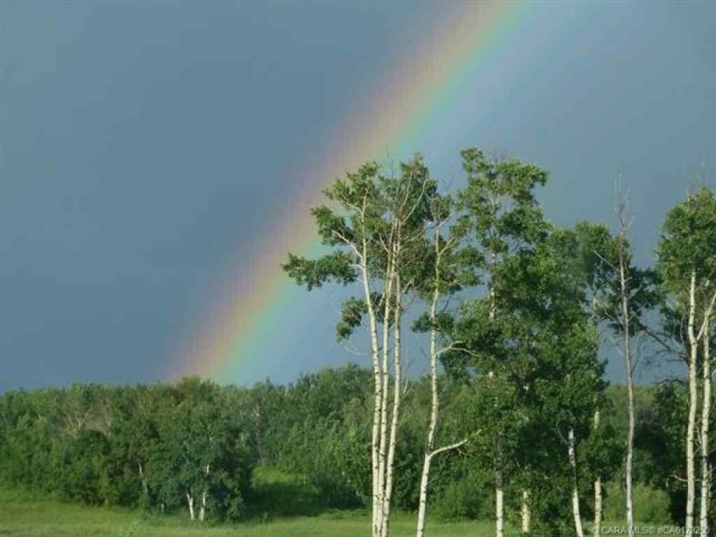 MLS® A2262913 - Unit #10 420069 Range Road 284   in Grandview Estates Rural Ponoka County, Land