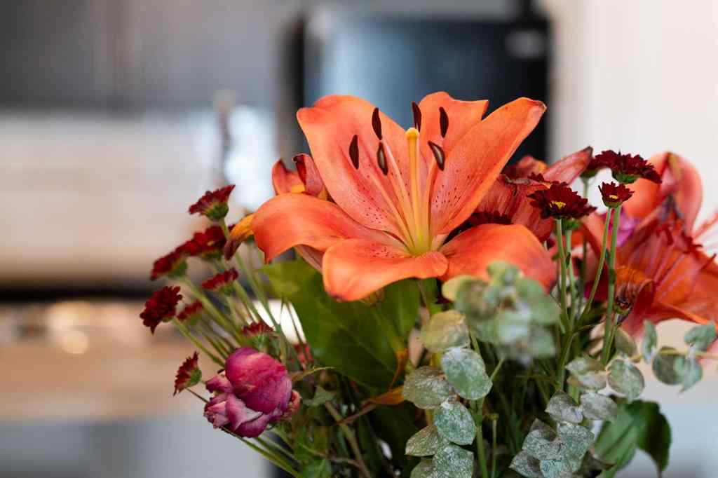 MLS® A2263001 - Unit #115 2300 Evanston Square NW in Evanston Calgary, Residential